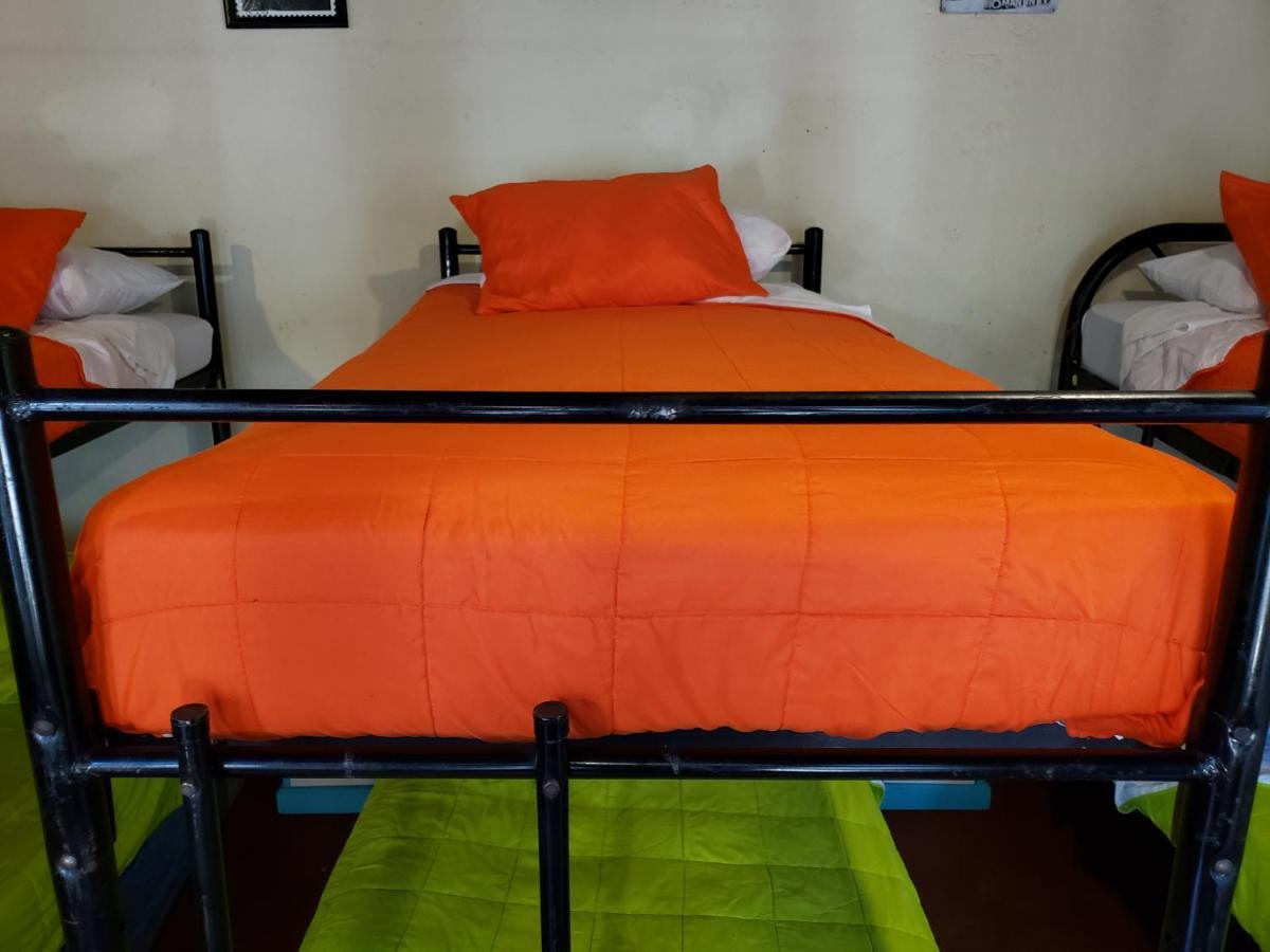 Bed and Breakfast Parrot House Antigua Exterior foto